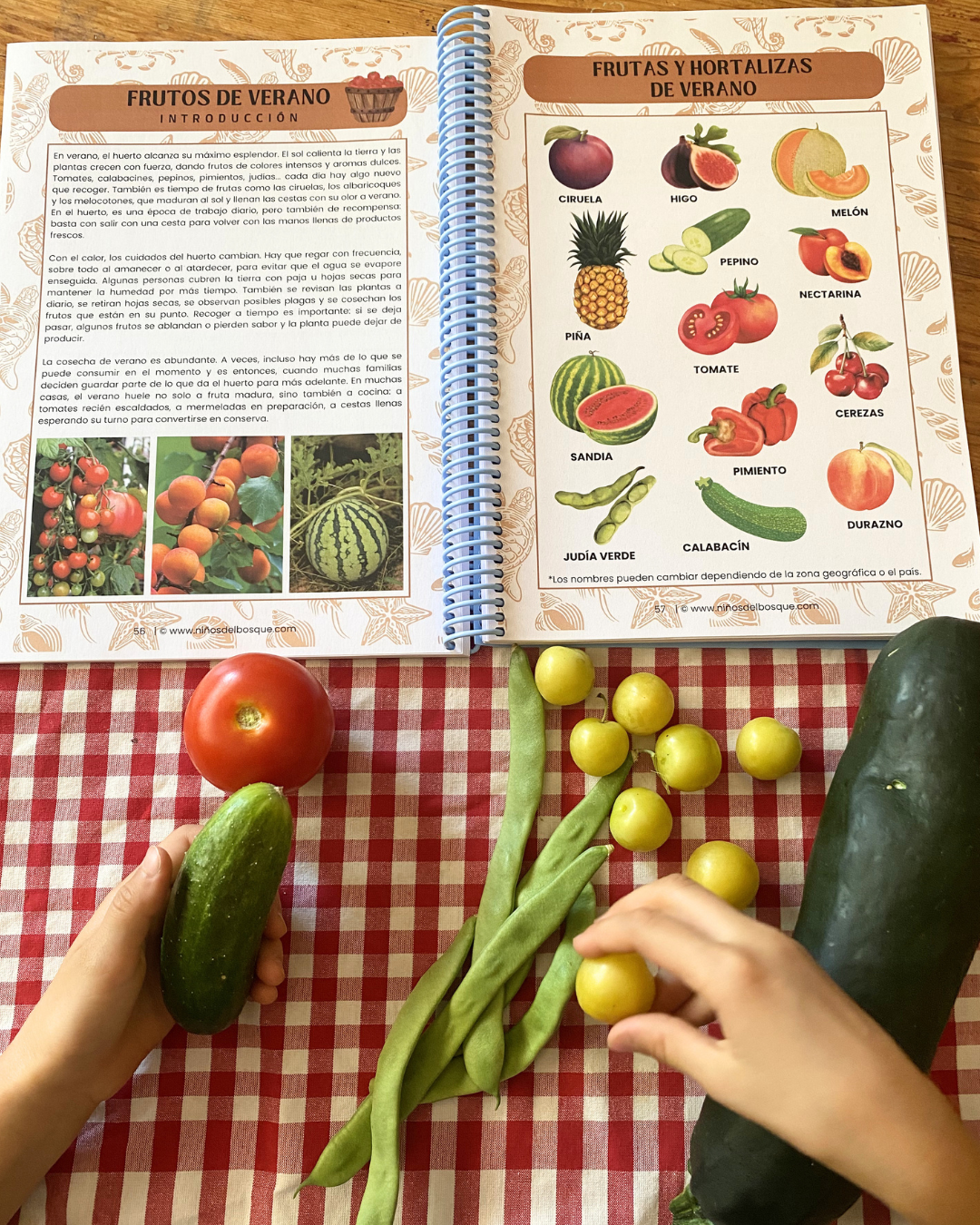 Pack: Plantas Silvestres y Frutos de Verano