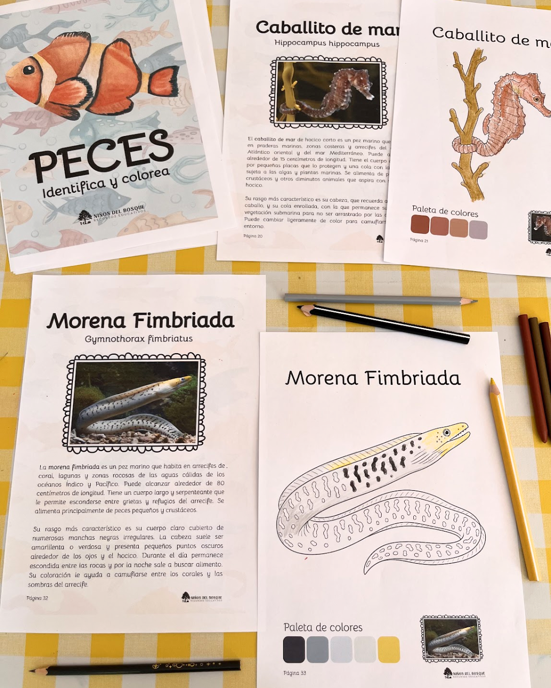 Libro para colorear e identificar PECES