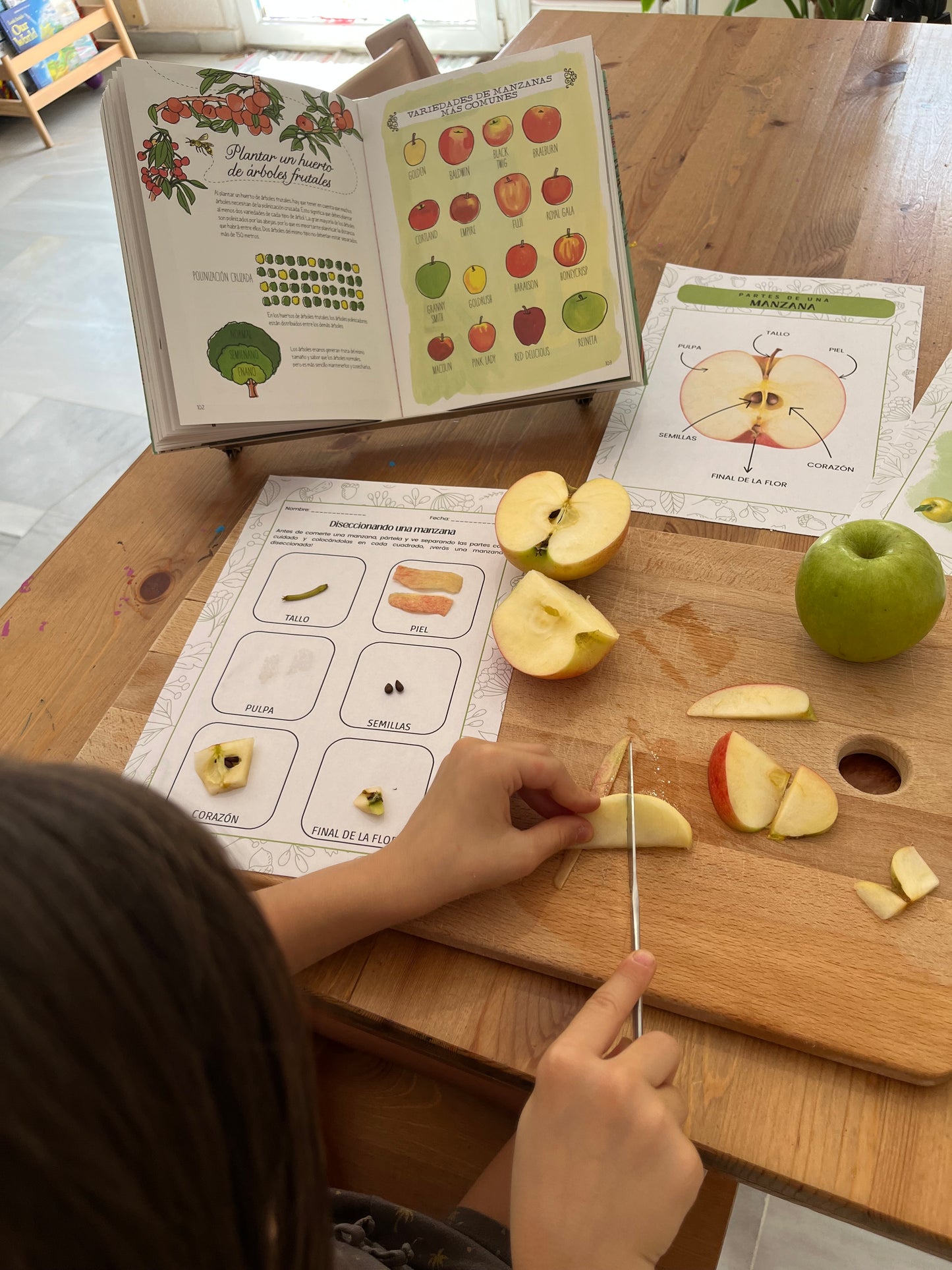 Guía de Estudios Naturales de Otoño