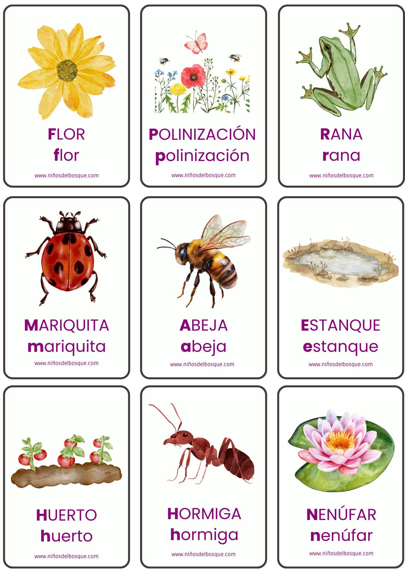Tarjetas educativas de vocabulario de naturaleza para niños con ilustraciones de flor, polinización, rana, mariquita, abeja, estanque, huerto, hormiga y nenúfar.