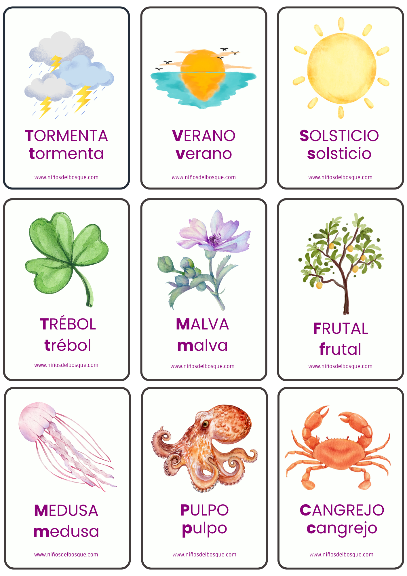 Tarjetas educativas de vocabulario de naturaleza para niños con ilustraciones de animales, plantas.