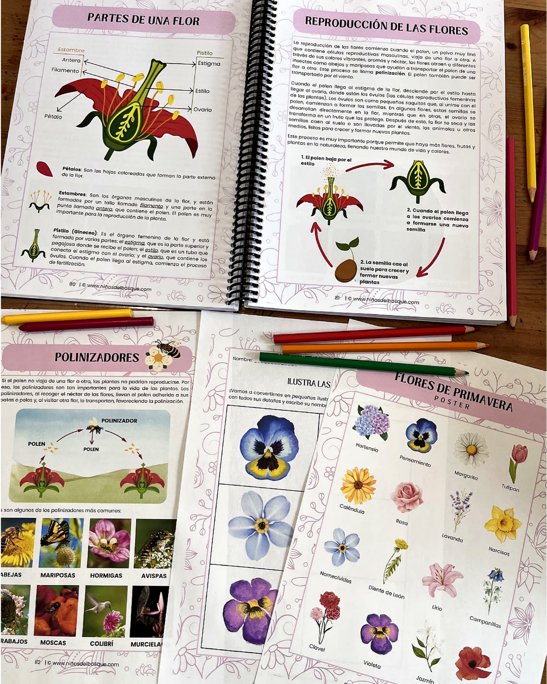 Guía de Estudios Naturales de Primavera