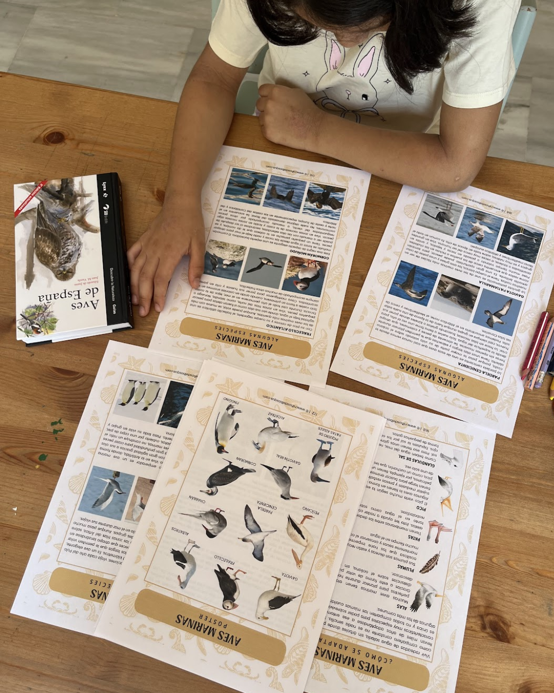 Pack: Mamíferos y Aves Marinas