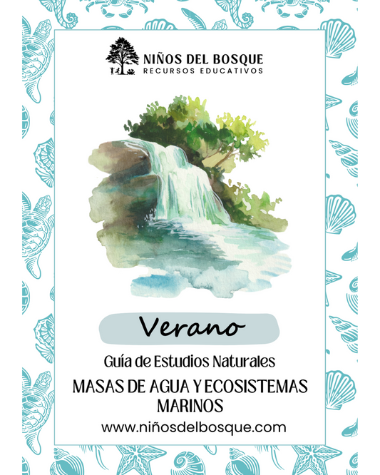 Pack: Masas de Agua y Ecosistemas Marinos