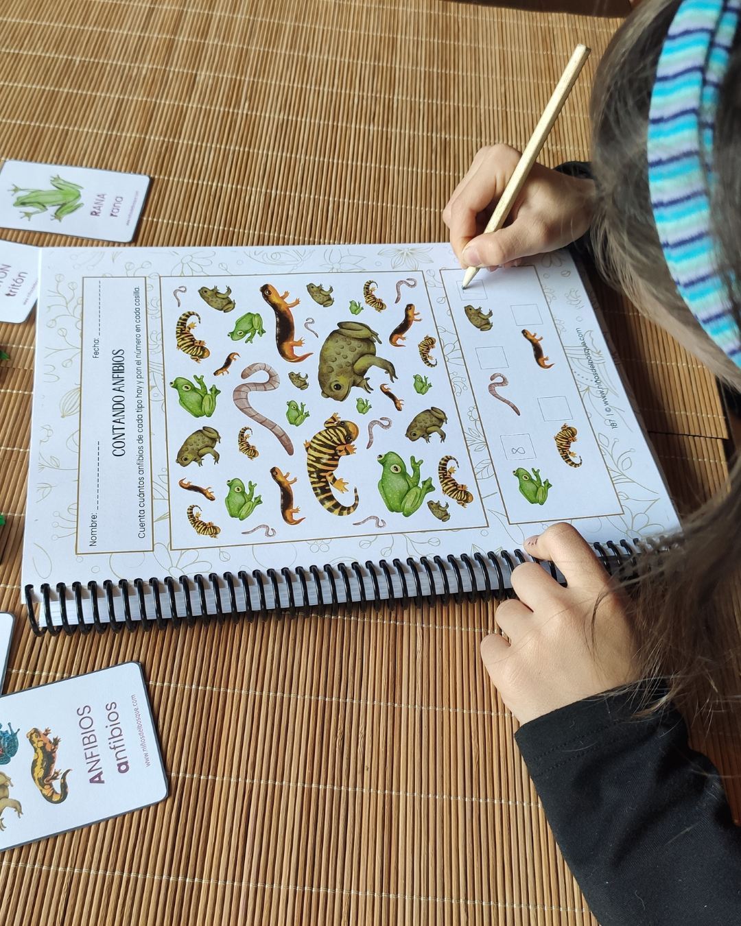 Guía de Estudios Naturales de Primavera