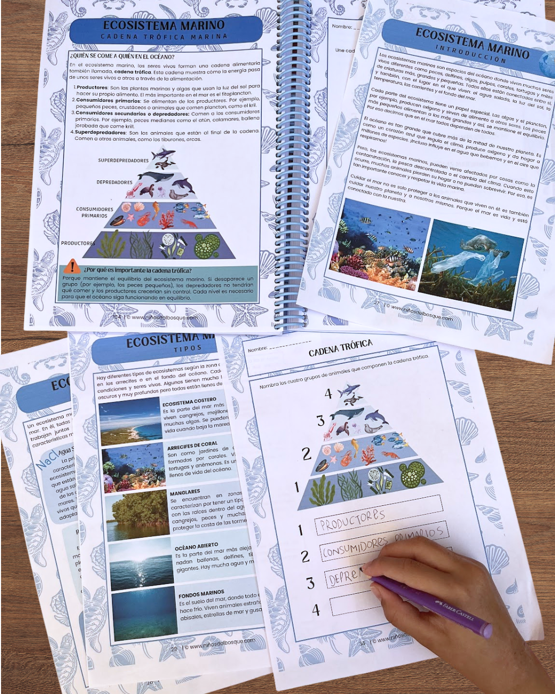 Pack: Masas de Agua y Ecosistemas Marinos