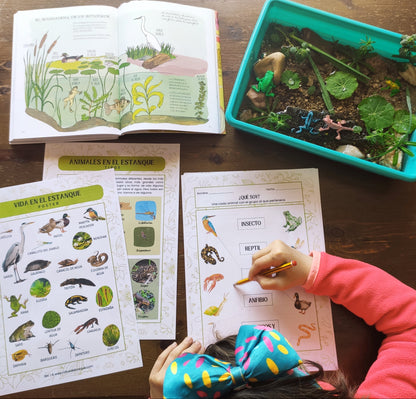 Guía de Estudios Naturales de Primavera