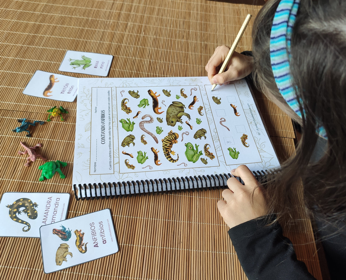 Pack: Vida en el Estanque y Anfibios