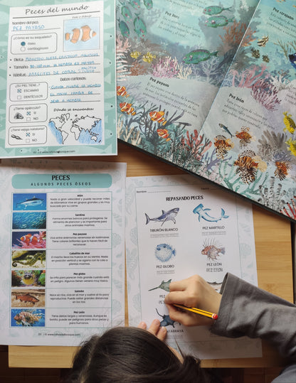 Guía de Estudios Naturales de Verano