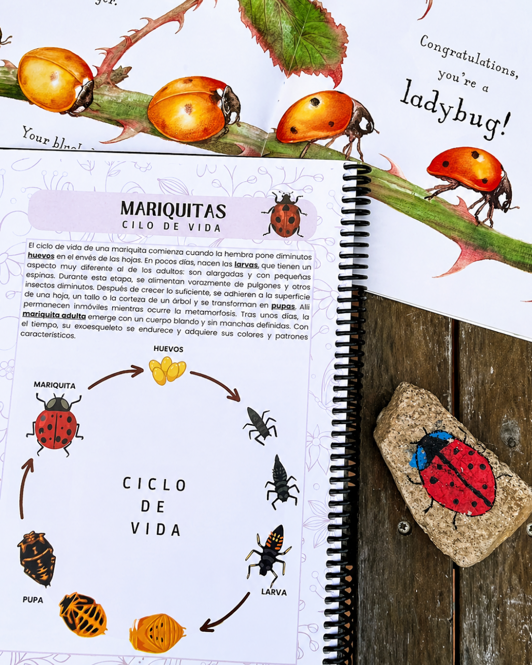 Guía de Estudios Naturales de Primavera