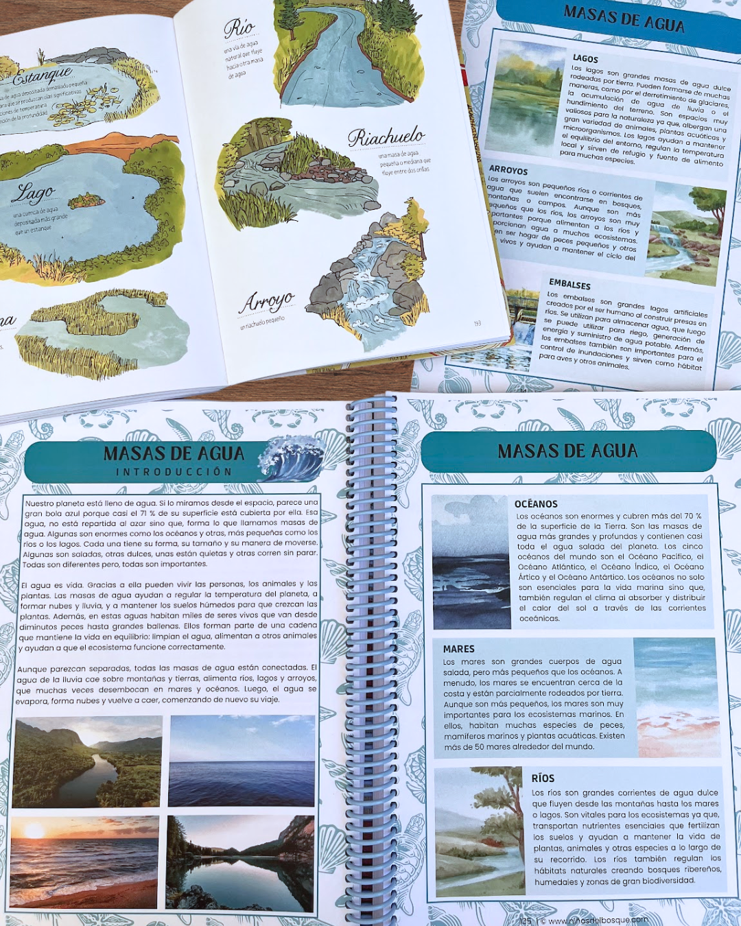 Pack: Masas de Agua y Ecosistemas Marinos