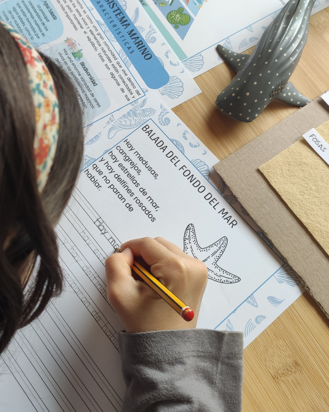 Pack: Masas de Agua y Ecosistemas Marinos