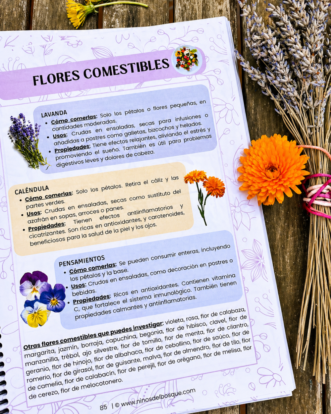 Pack: Semillas y Flores