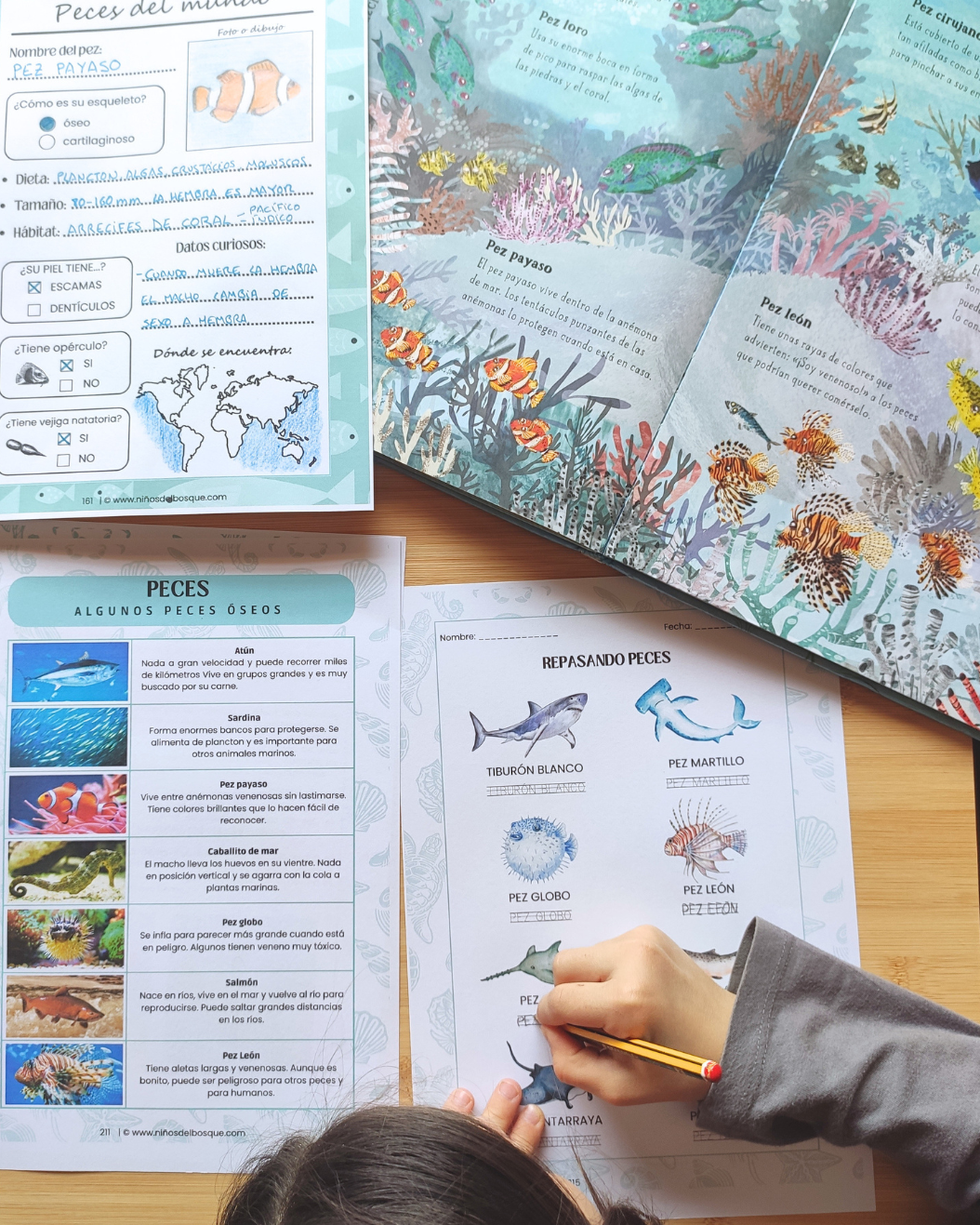 Pack: Peces e Invertebrados