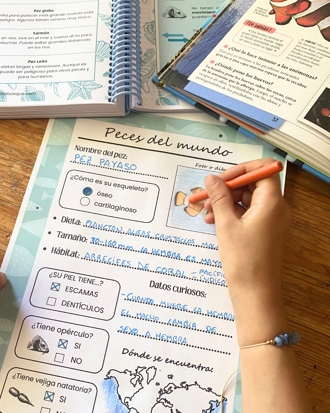 Pack: Peces e Invertebrados