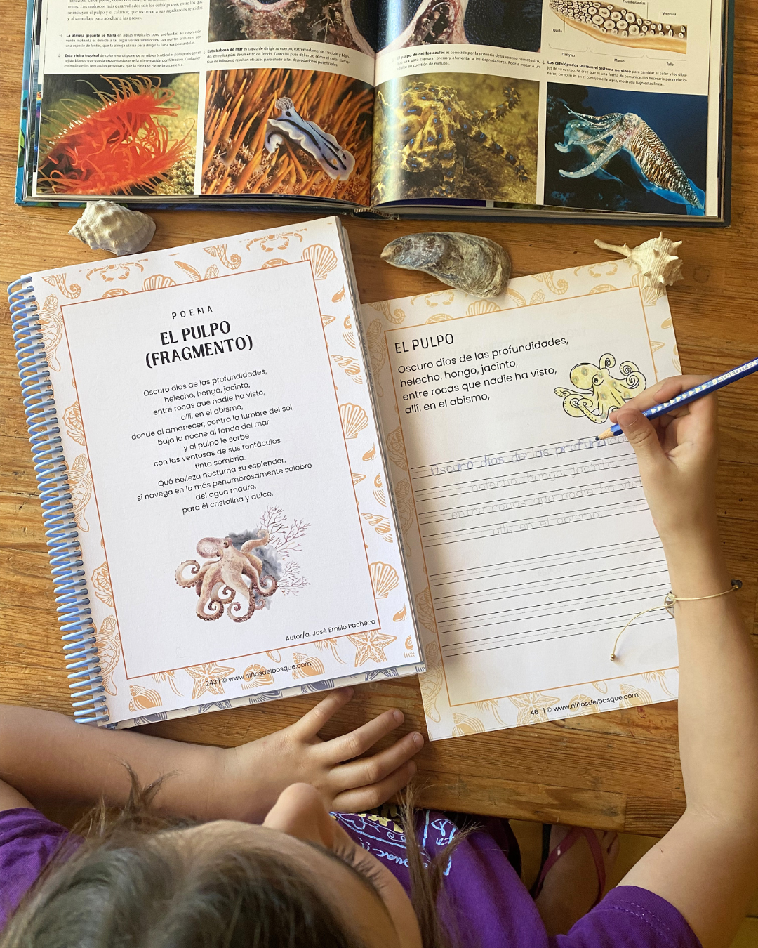 Pack: Peces e Invertebrados
