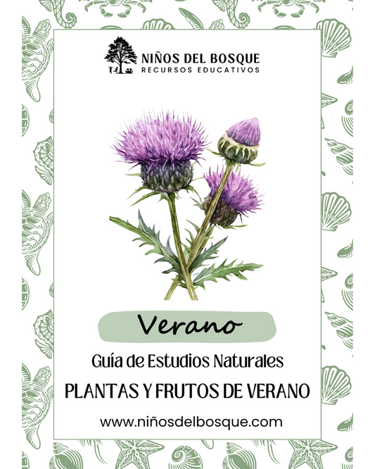 Pack: Plantas Silvestres y Frutos de Verano