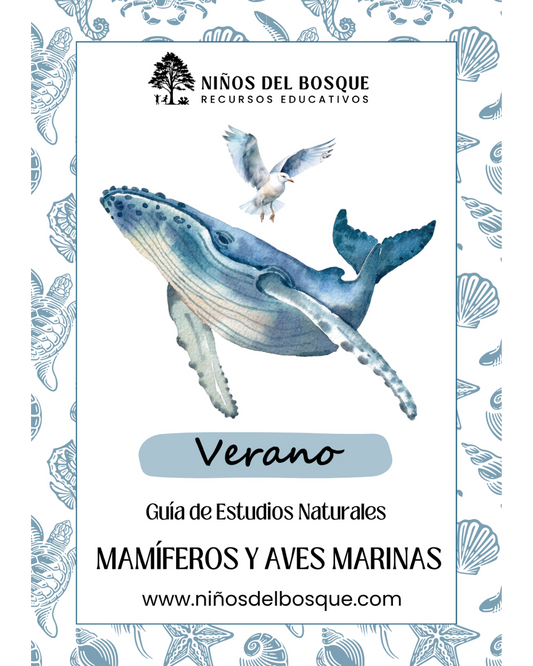 Pack: Mamíferos y Aves Marinas