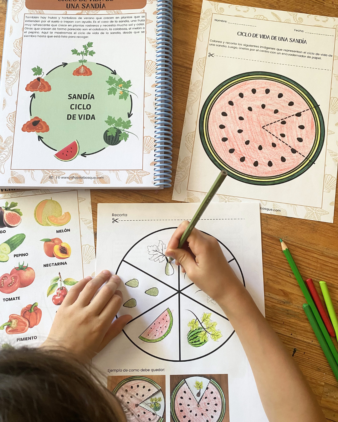 Pack: Plantas Silvestres y Frutos de Verano