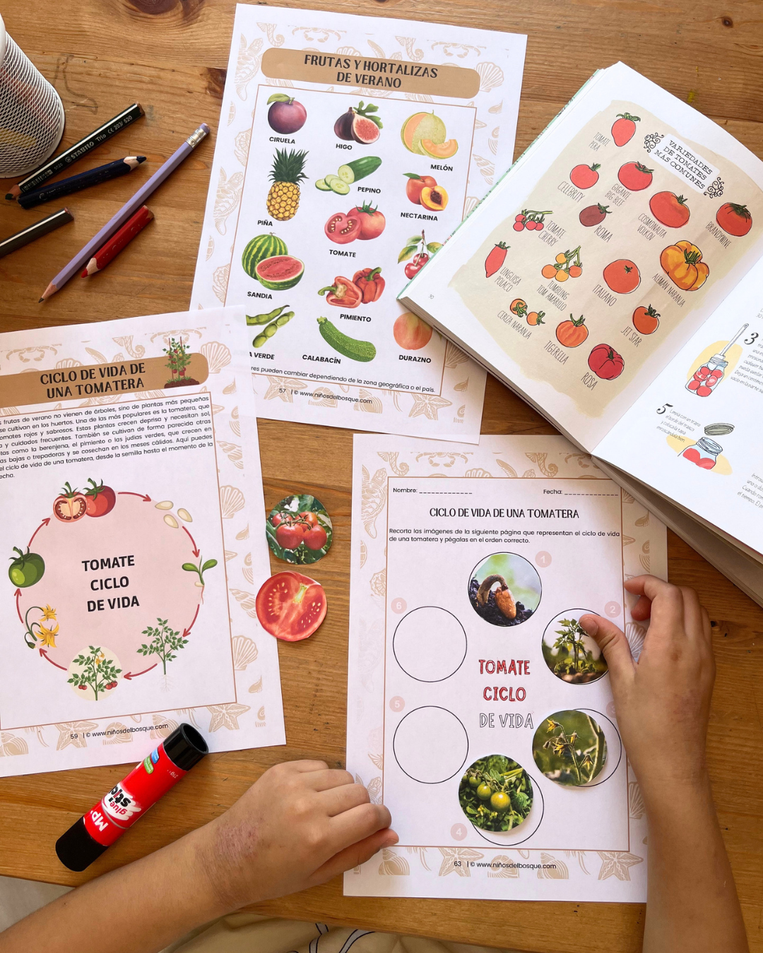 Pack: Plantas Silvestres y Frutos de Verano