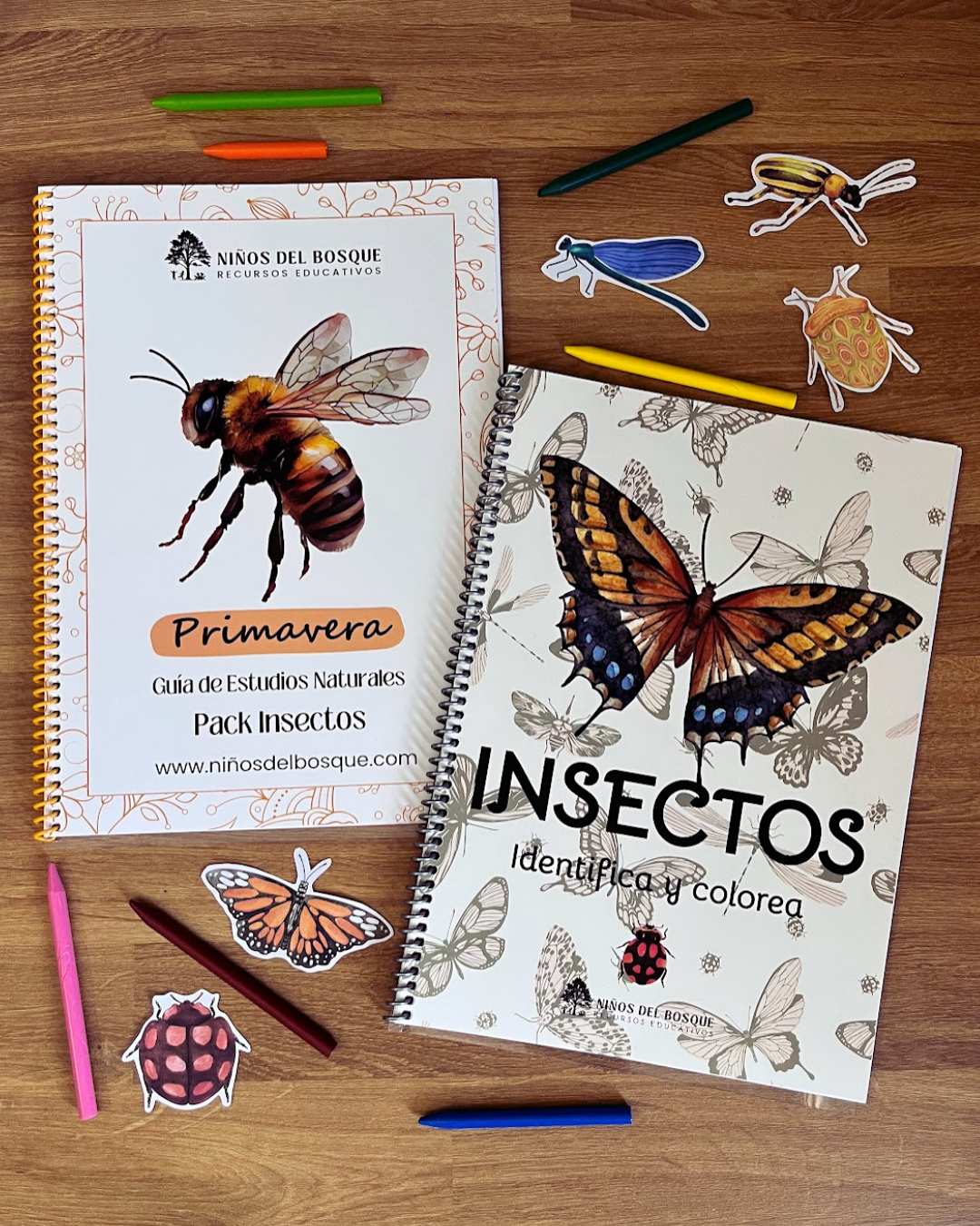 Pack Insectos + Identifica y Colorea Insectos