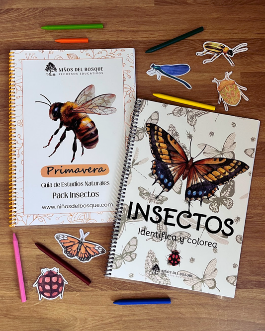 Pack Insectos + Identifica y Colorea Insectos
