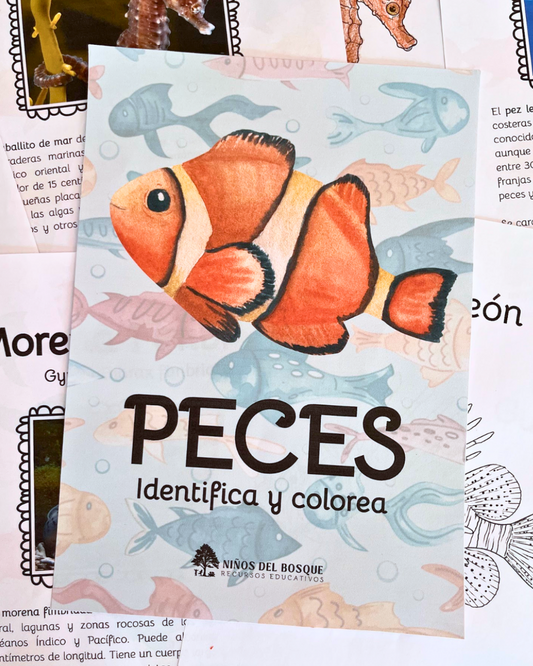 Libro para colorear e identificar PECES