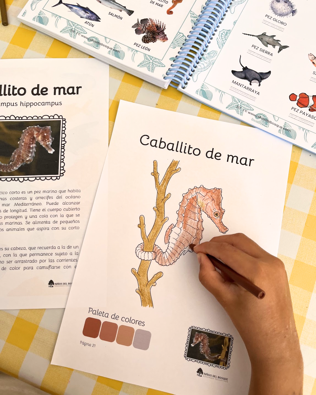 Libro para colorear e identificar PECES