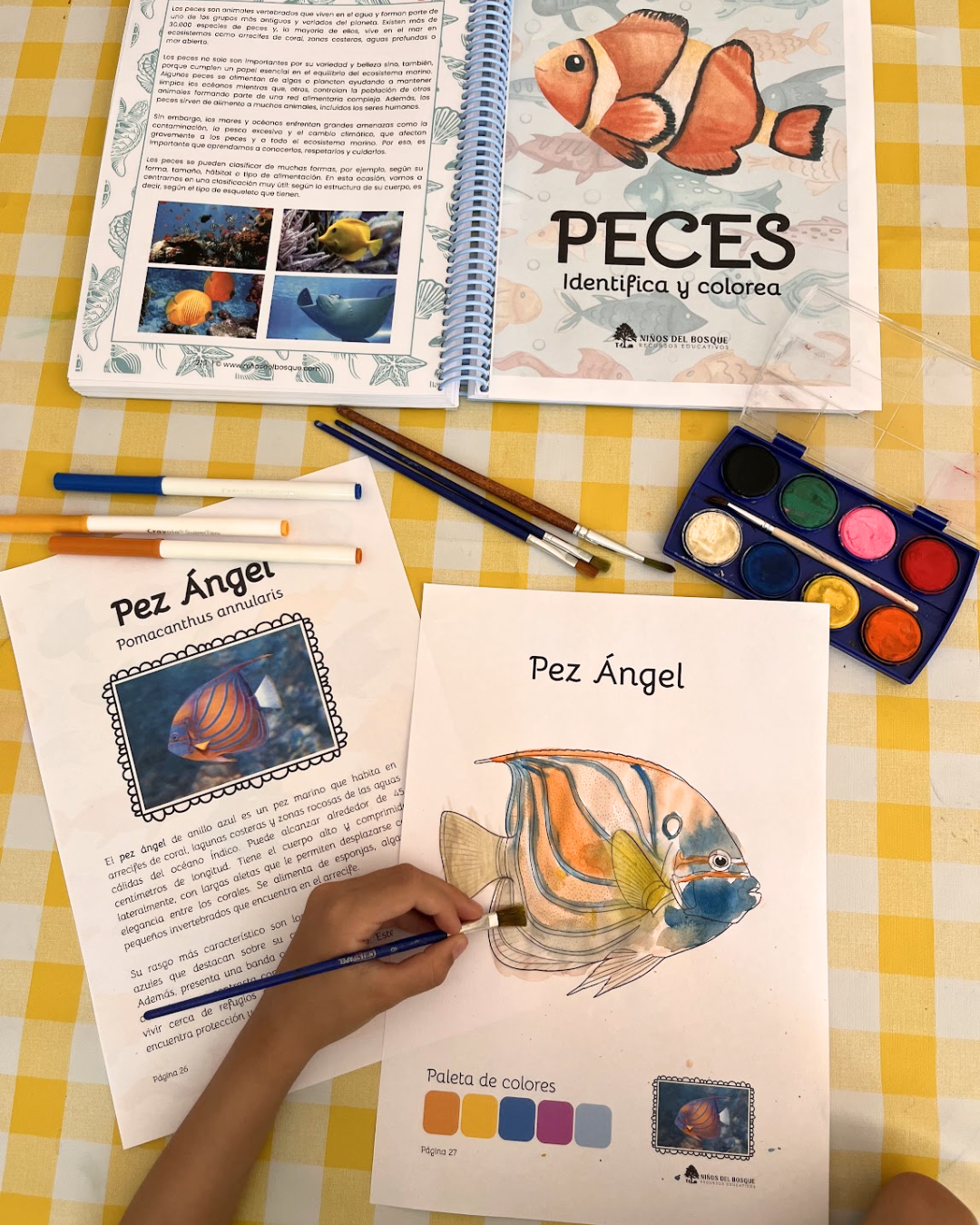 Libro para colorear e identificar PECES