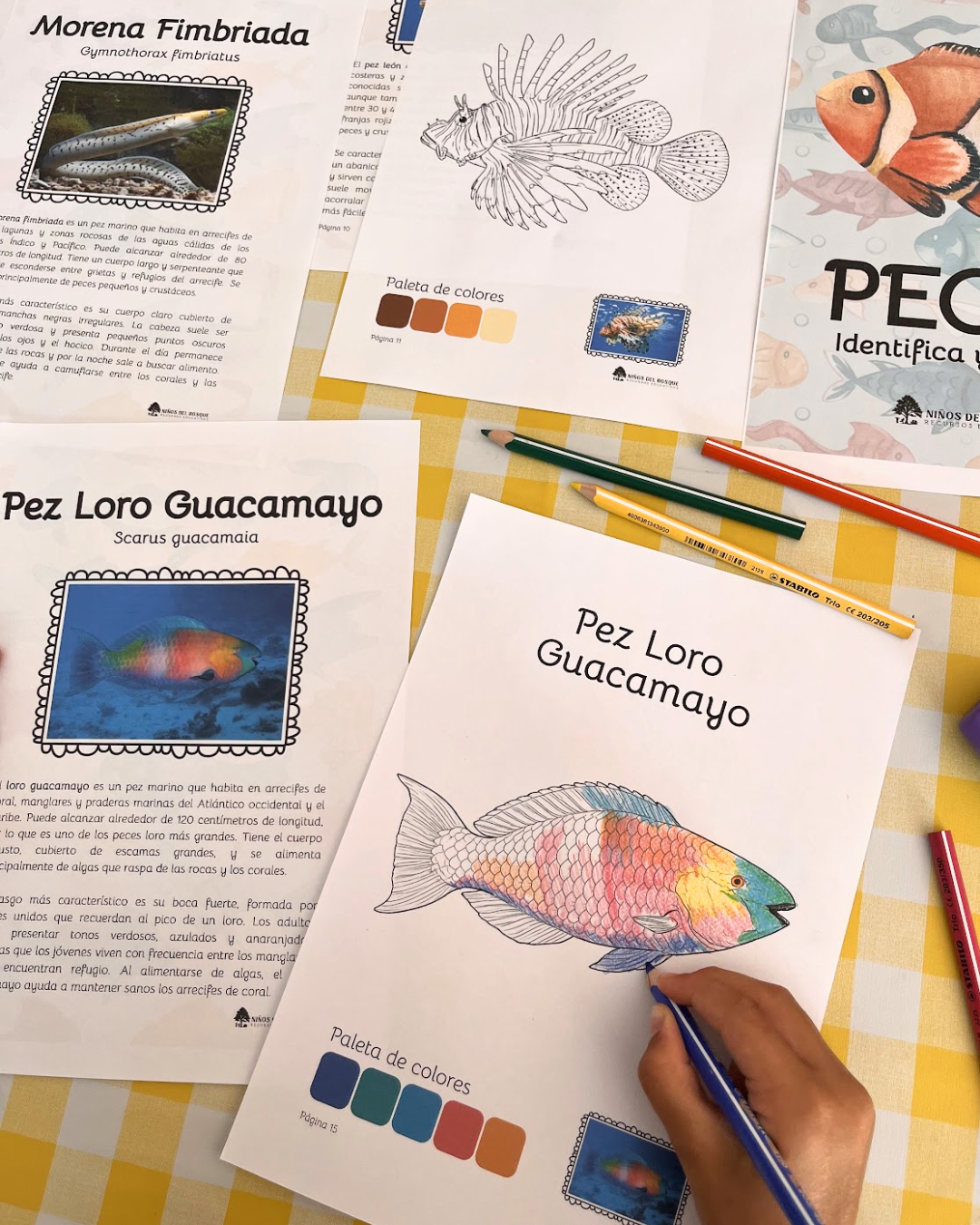 Libro para colorear e identificar PECES