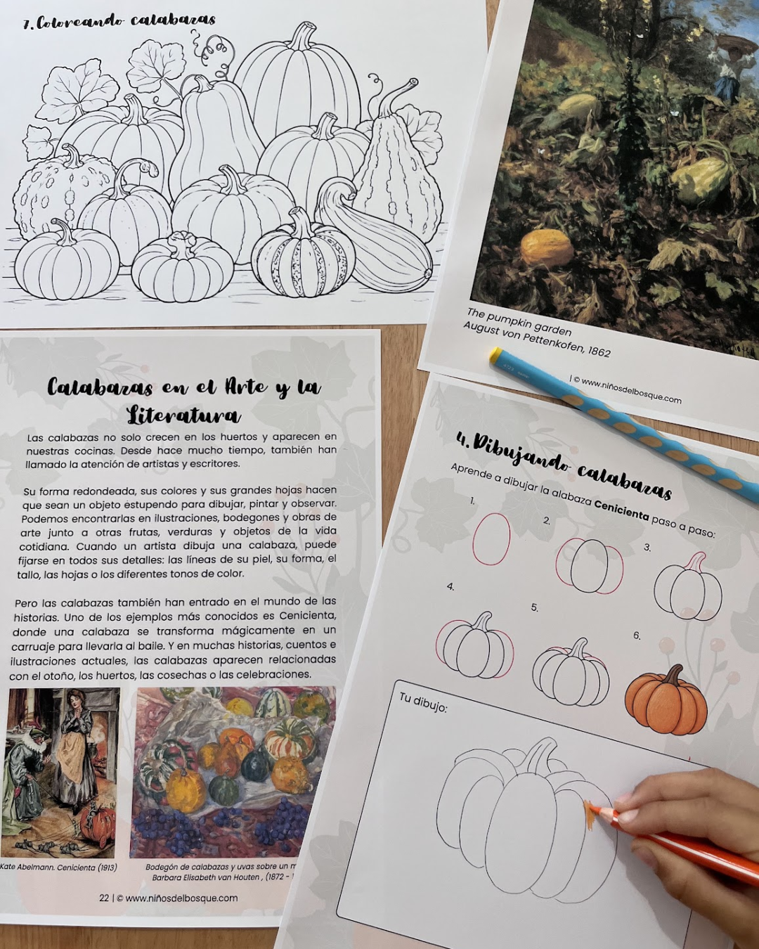 Calabazas Unidad de Estudio