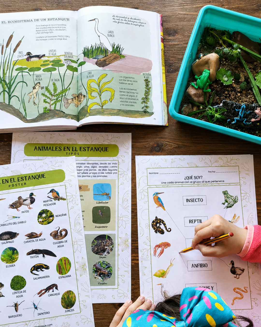 Guía de Estudios Naturales de Primavera