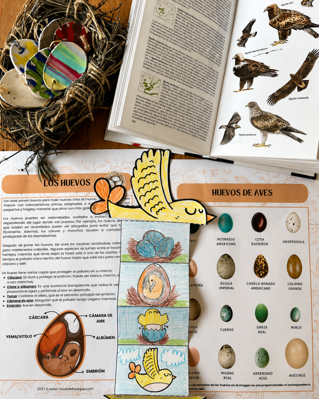 Guía de Estudios Naturales de Primavera