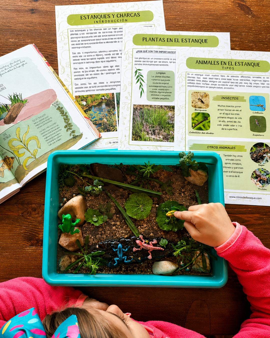 Guía de Estudios Naturales de Primavera