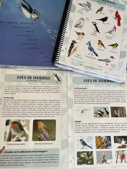 Semana Suelta: Aves de Invierno