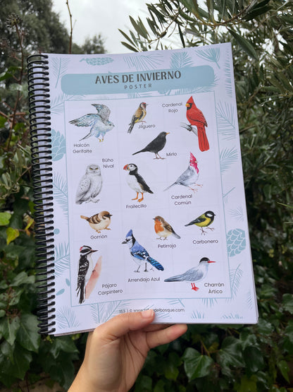 Semana Suelta: Aves de Invierno