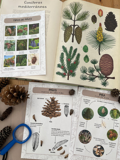 Guía de Estudios Naturales Otoño