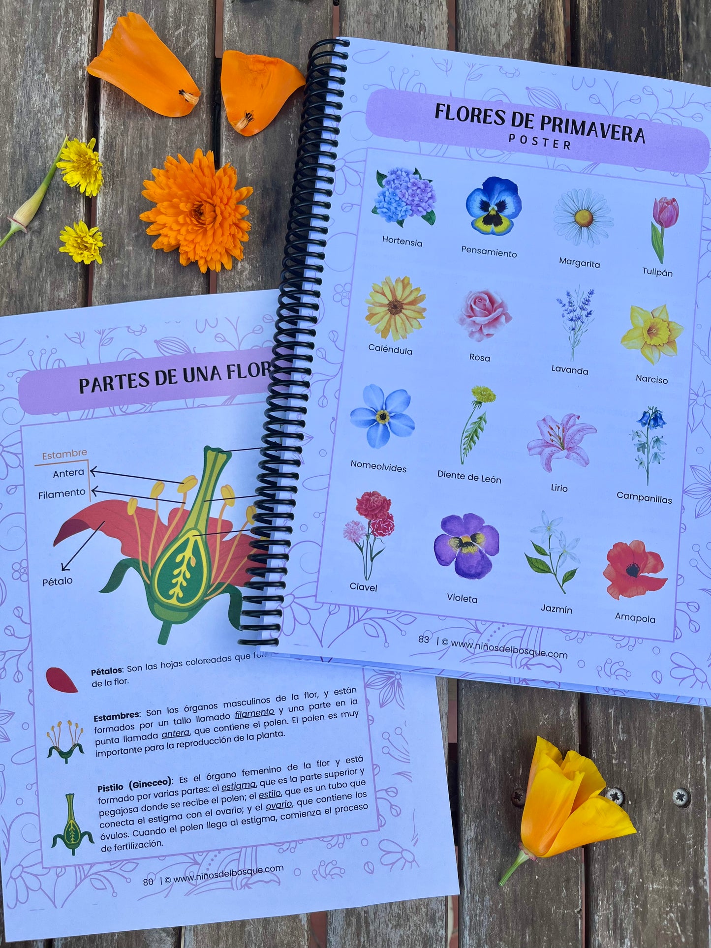 Pack: Semillas y Flores