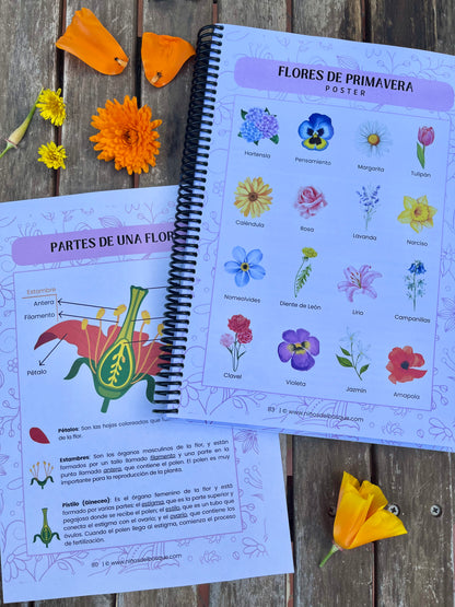 Pack: Semillas y Flores