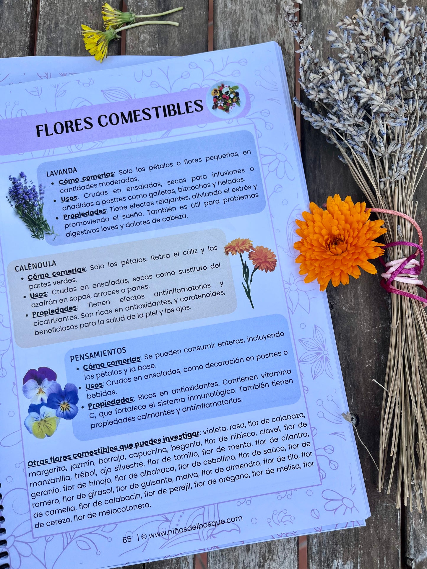 Pack: Semillas y Flores