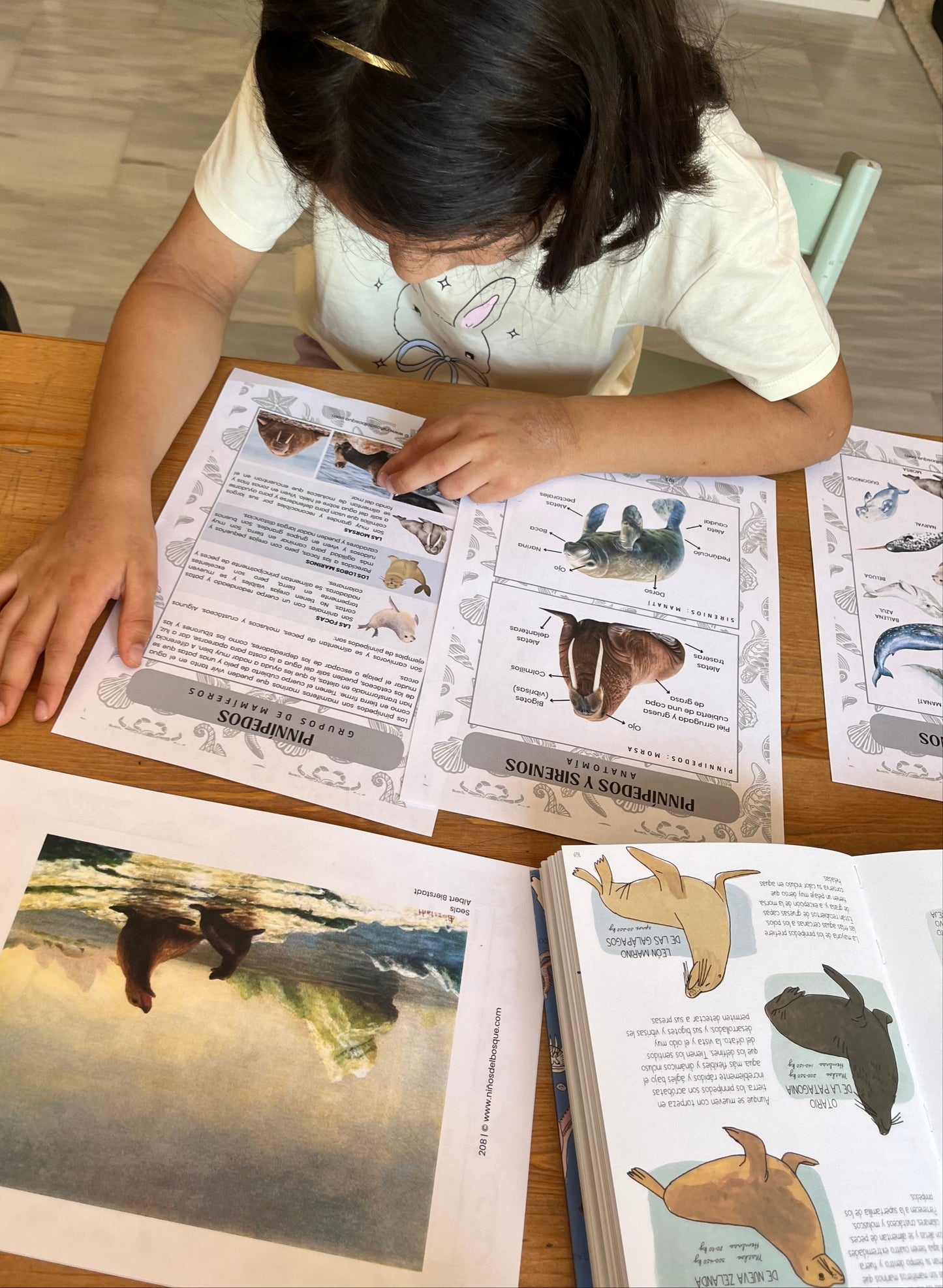 Guía de Estudios Naturales de Verano
