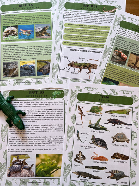 Semana Suelta: Reptiles