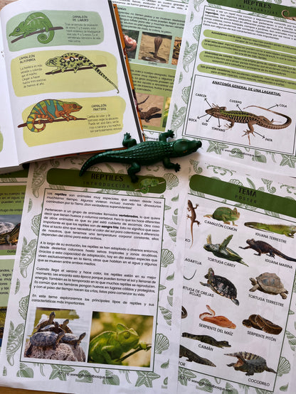 Guía de Estudios Naturales de Verano
