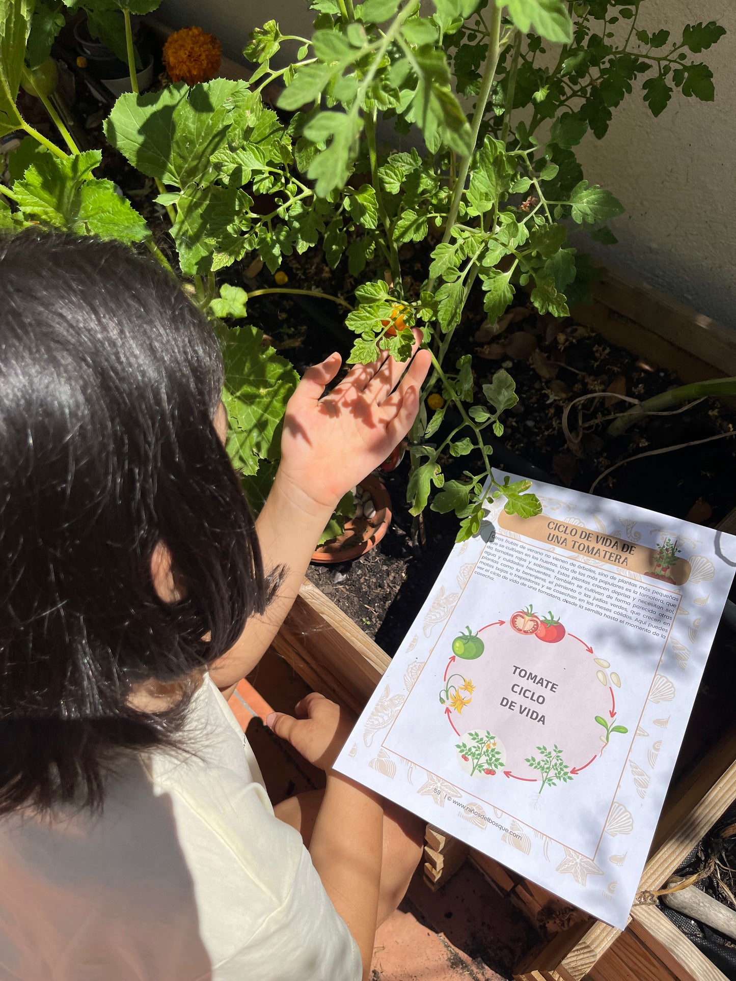 Guía de Estudios Naturales de Verano