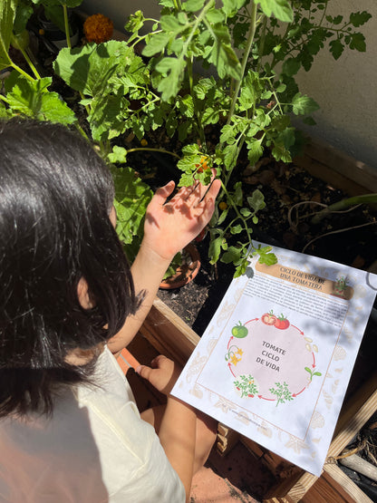 Guía de Estudios Naturales de Verano