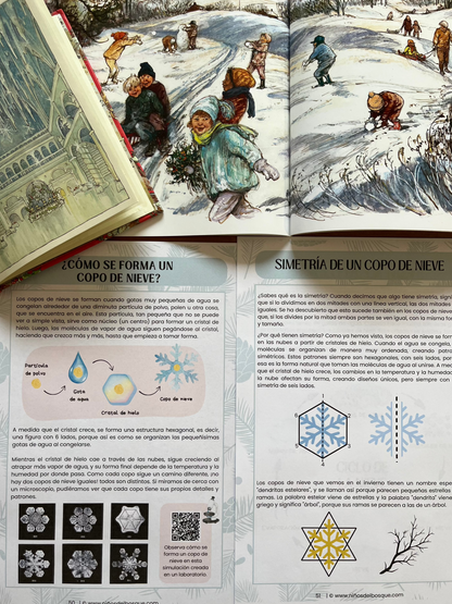 Bundle Cuatro Estaciones