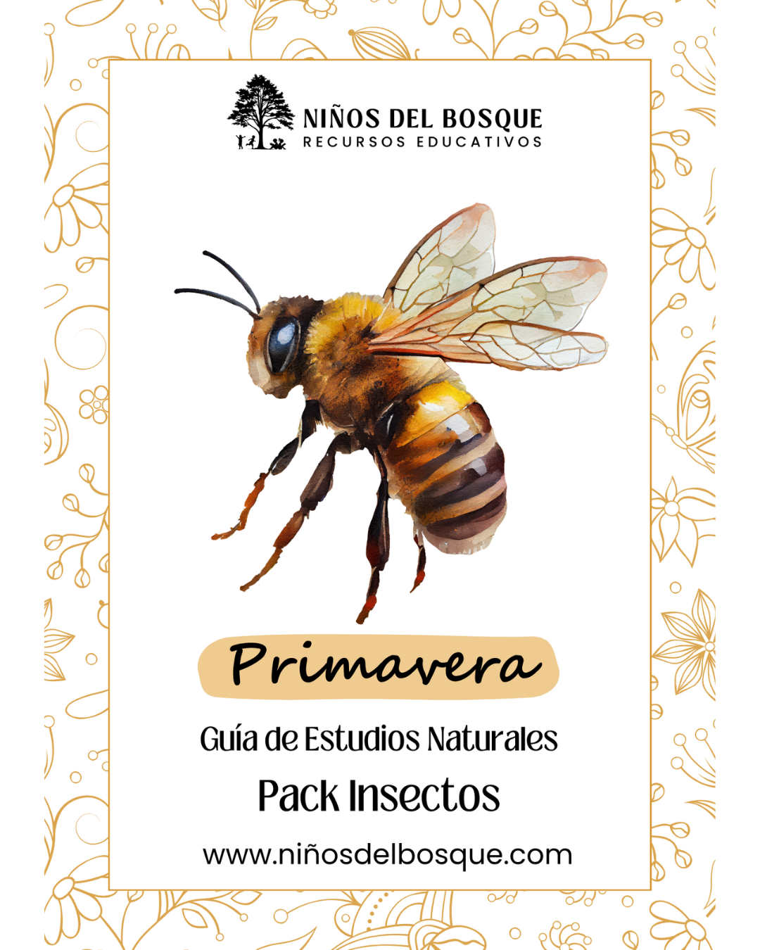 Pack: Insectos