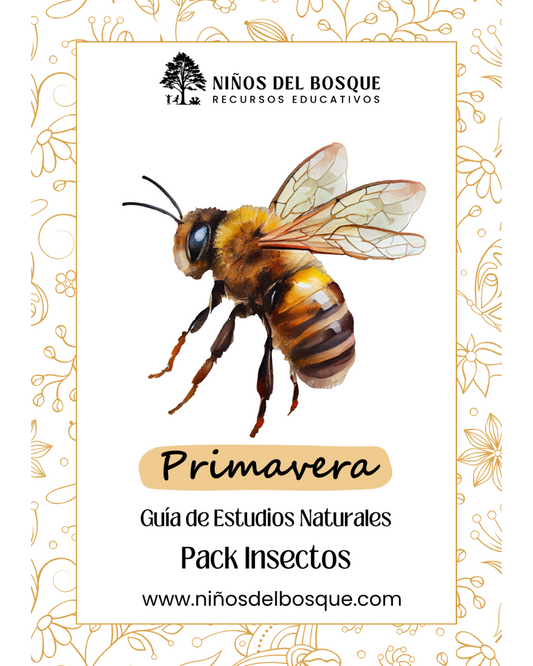 Pack: Insectos