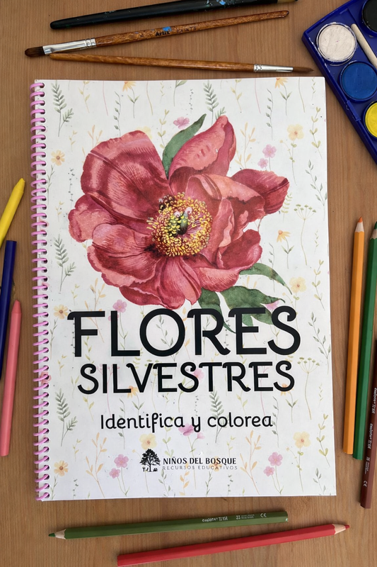 Libro para colorear e identificar FLORES