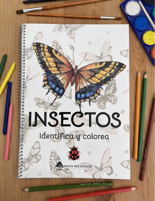 Libro para colorear e identificar INSECTOS